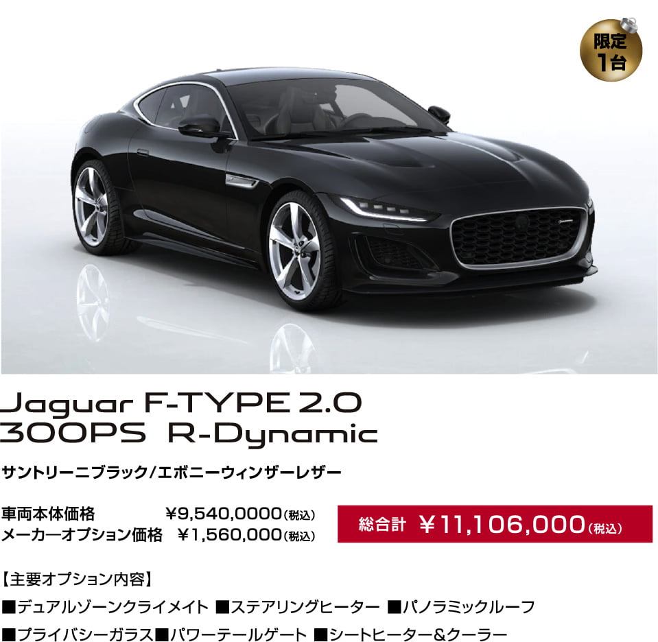 Jaguar F-TYPE 2.0 300PS R-Dynamic