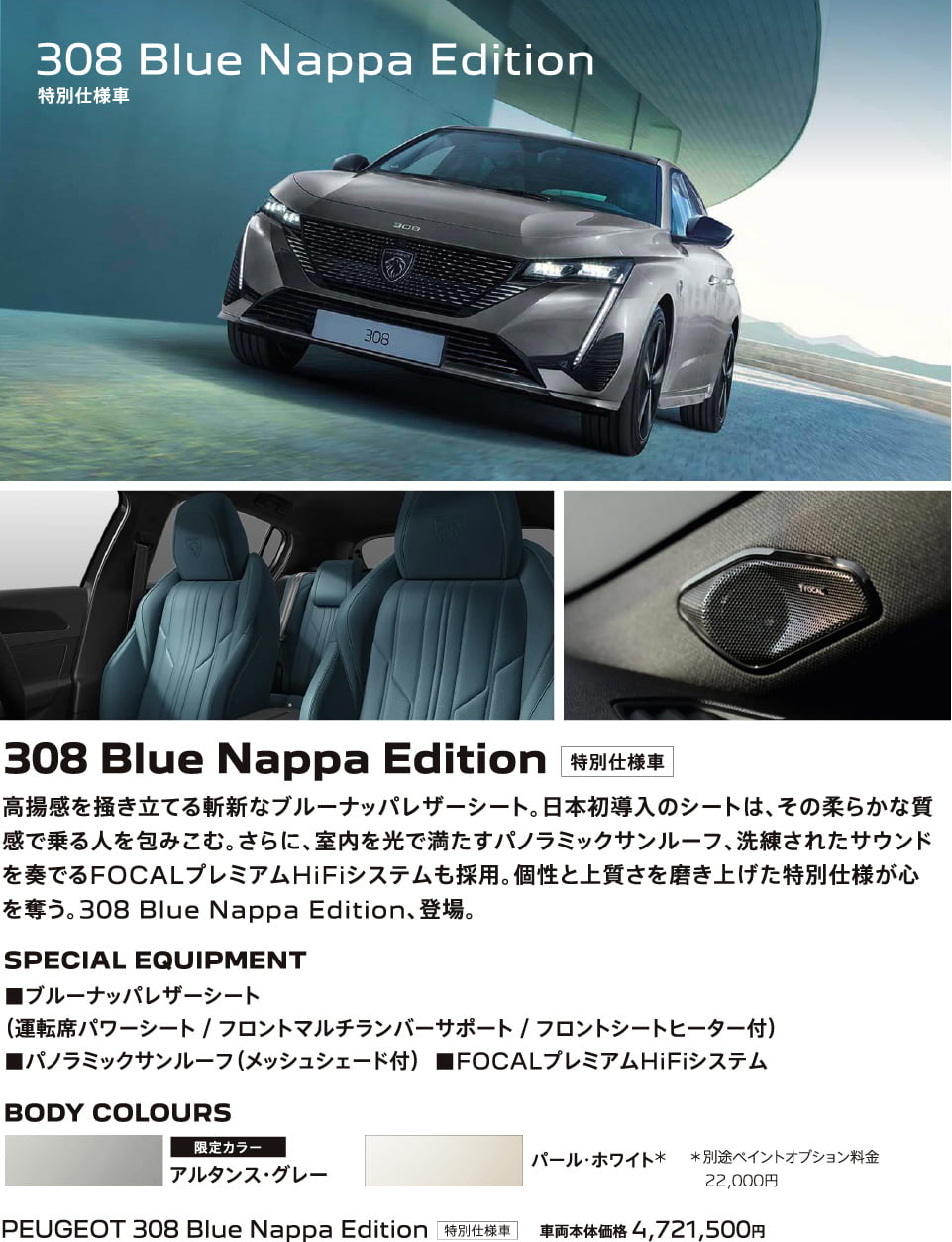308 Blue Nappa Edition
