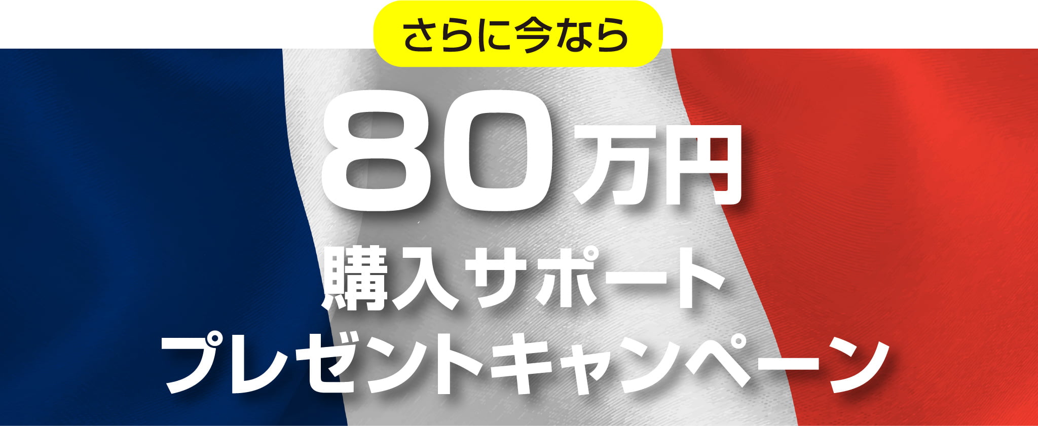 【TIME SALE】My151 イーブイ キャンペーン コンプ【最終値下げ】 TIME SALE】My151 イーブイ キャンペーン コンプ【最終値下げ